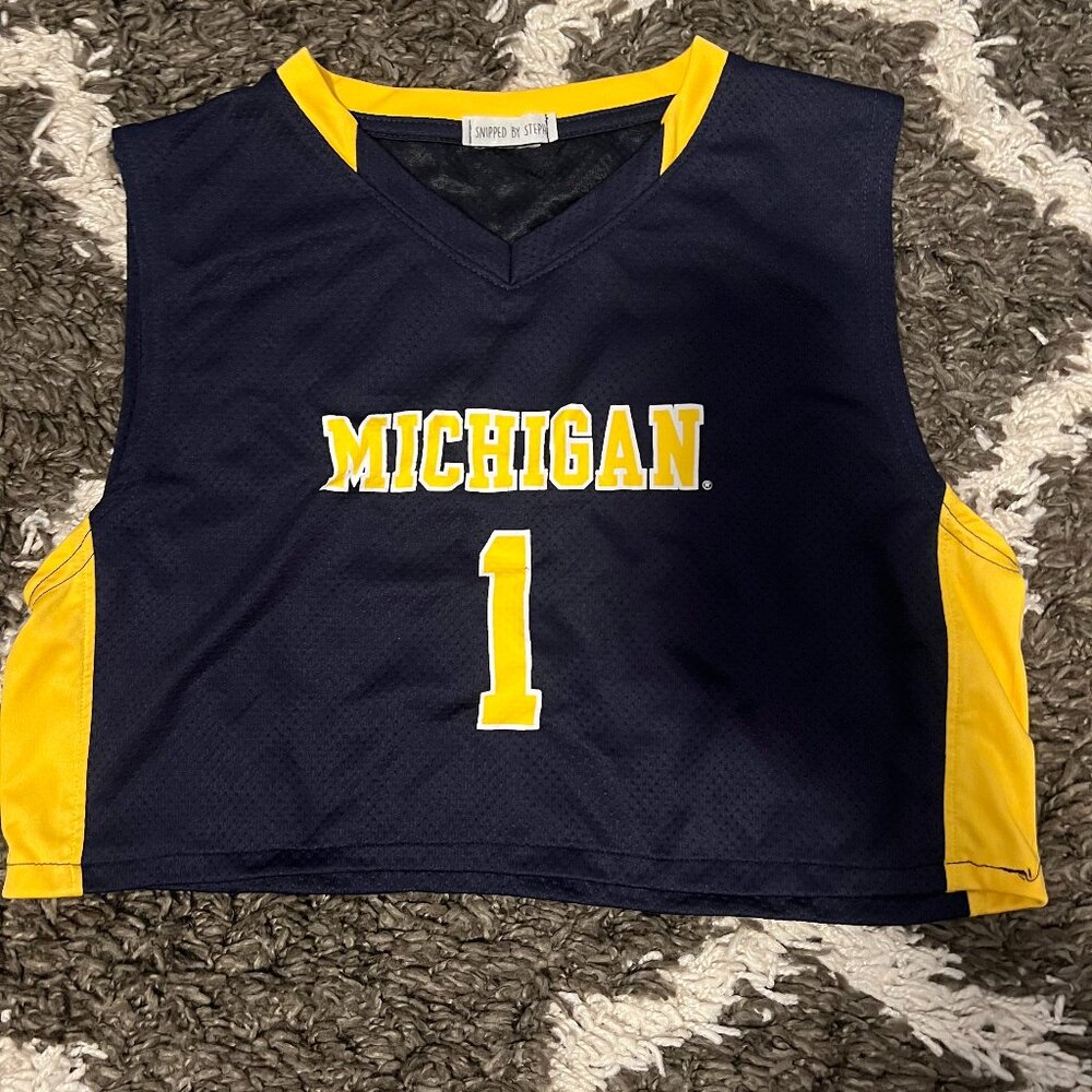Cropped Michigan Jersey